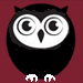 a little owl